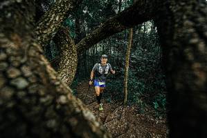 BIB: 
                            <button type="button" onclick="openModal(25667776)" class="btn btn-primary btn-sm float-right btn-popup" data-toggle="modal" data-target=".modal-high-quality">
                        <i class="fas fa-shopping-cart"></i> Add to Cart
                    </button>
                                            <button type="button" onclick="isThisMe(25667776, true)" class="btn btn-success btn-sm float-right btn-popup btn-isme hidden" data-toggle="tooltip" data-placement="bottom" title="นี่คือรูปของคุณใช่ไหม คลิกที่นี่เพื่อเอาเข้าอัลบั้ม">
                        <i class="fas fa-plus"></i> Add to album
                    </button>
                    <button type="button" onclick="isThisMe(25667776, false)" class="btn btn-warning btn-sm float-right btn-popup btn-isnotme hidden">
                        <i class="fas fa-ban"></i> Remove from album
                    </button>